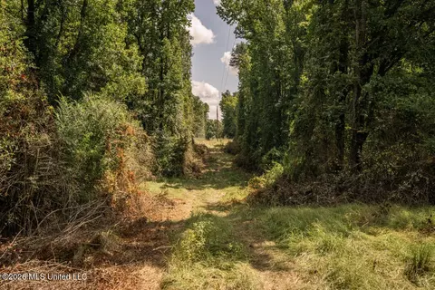 Craft Road, Magee, MS 39111 photo 31