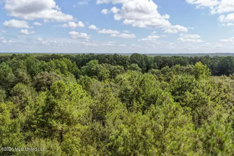Craft Road, Magee, MS 39111 photo 20