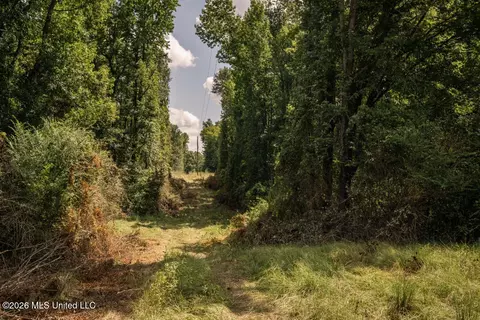 Craft Road, Magee, MS 39111 photo 30