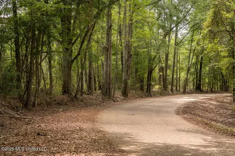 Craft Road, Magee, MS 39111 photo 17