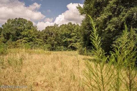 Craft Road, Magee, MS 39111 photo 12