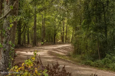 Craft Road, Magee, MS 39111 photo 39