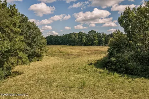Craft Road, Magee, MS 39111 photo 25