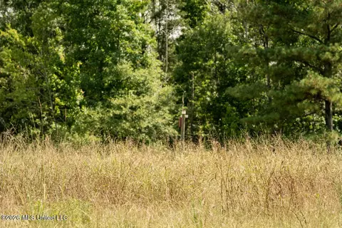 Craft Road, Magee, MS 39111 photo 37