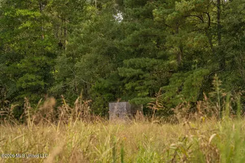 Craft Road, Magee, MS 39111 photo 7
