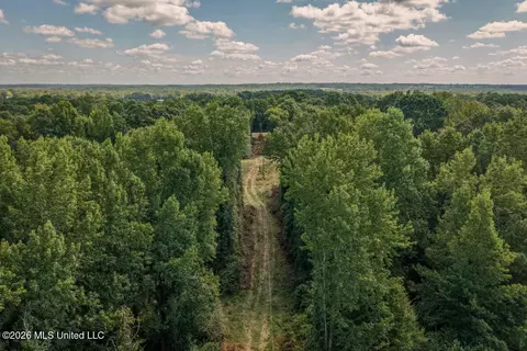 Craft Road, Magee, MS 39111 photo 22