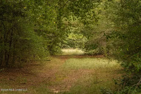 Craft Road, Magee, MS 39111 photo 11