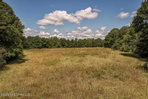 Craft Road, Magee, MS 39111 photo 8