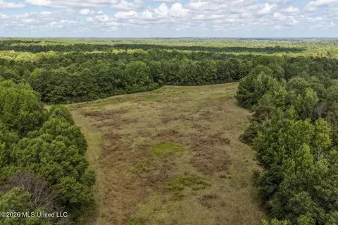 Craft Road, Magee, MS 39111 photo 16