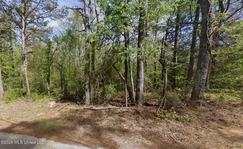 5 Co Rd 521, Como, MS 38619 photo 2