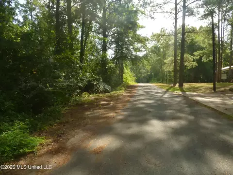 Cedar Drive, Monticello, MS 39654 photo 5