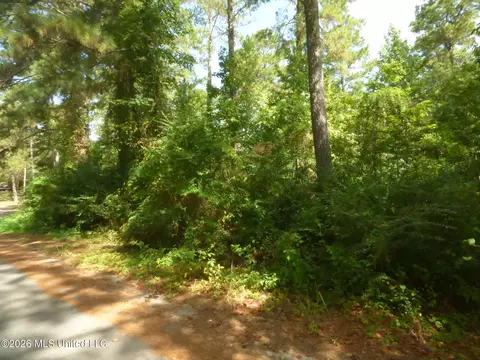 Cedar Drive, Monticello, MS 39654 photo 3