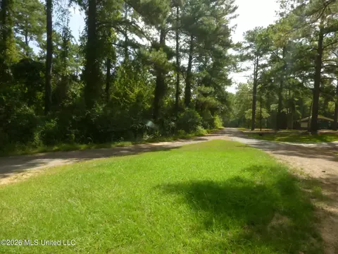 Cedar Drive, Monticello, MS 39654 photo 4