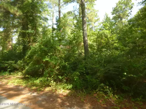 Cedar Drive, Monticello, MS 39654 photo 2