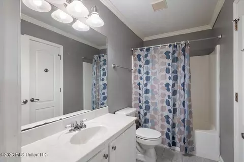 Bath - 210 Terry Brook Dr, Terry, MS 39170 photo 2 of 2