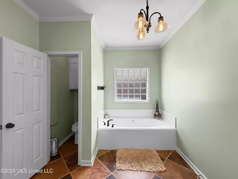 Bath - 260 Mallard Dr, Brandon, MS 39047 photo 3 of 5