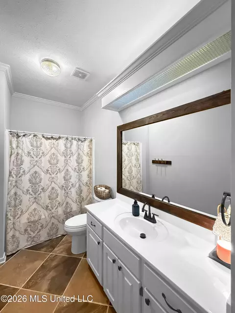 Bath - 260 Mallard Dr, Brandon, MS 39047 photo 5 of 5