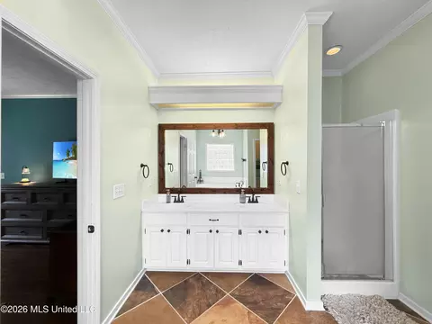 Bath - 260 Mallard Dr, Brandon, MS 39047 photo 1 of 5