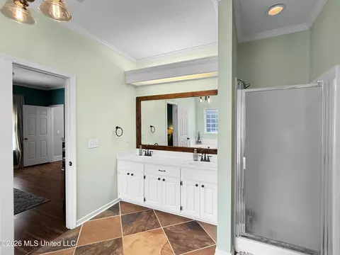 Bath - 260 Mallard Dr, Brandon, MS 39047 photo 2 of 5