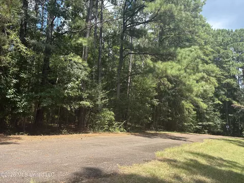 0 Lexington Ln, Mccomb, MS 39648 photo 4