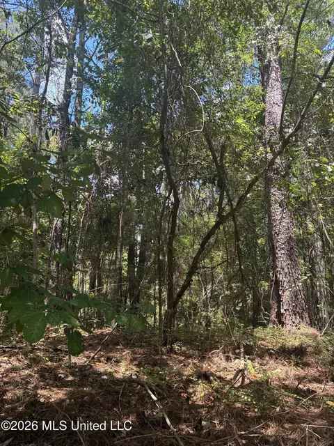 0 Lexington Ln, Mccomb, MS 39648 photo 3