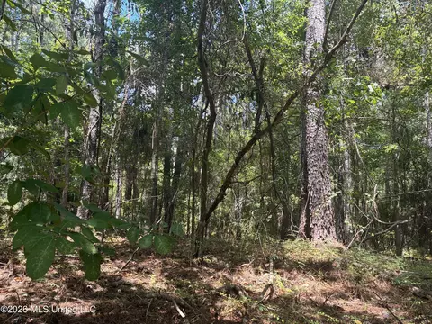 0 Lexington Ln, Mccomb, MS 39648 photo 2