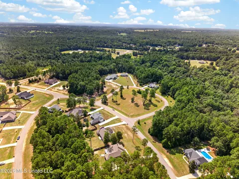 View/Area - 38 Switch Dr, Carriere, MS 39426 photo 8 of 10