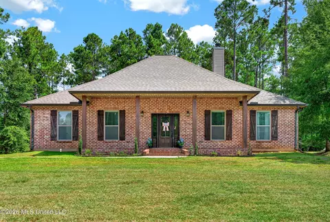 Exterior - 38 Switch Dr, Carriere, MS 39426 photo 4 of 14
