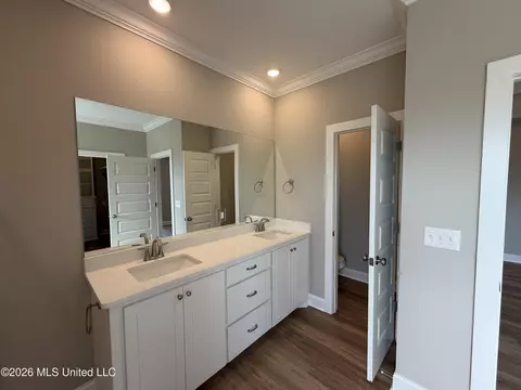 Bath - 116 Newport Dr, Canton, MS 39046 photo 2 of 4