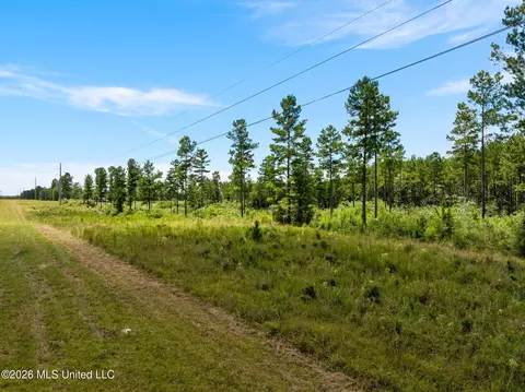 48 Clear Pines Dr, Sumrall, MS 39482 photo 4