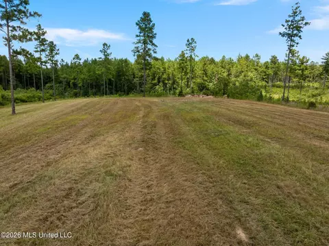 48 Clear Pines Dr, Sumrall, MS 39482 photo 2