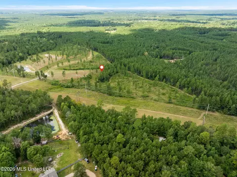 48 Clear Pines Dr, Sumrall, MS 39482 photo 12