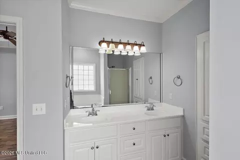 Bath - 217 Calhoun Dr, Madison, MS 39110 photo 2 of 3