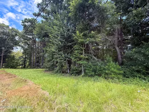 Berthadale Road, Mccomb, MS 39648 photo 2