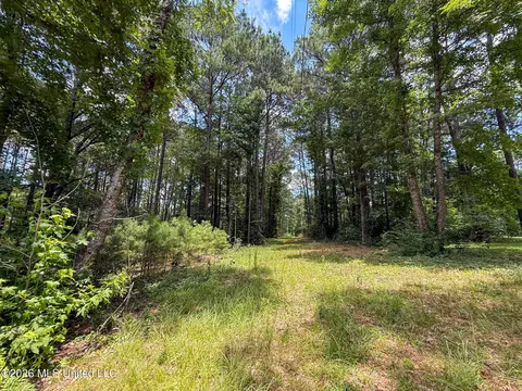 Berthadale Road, Mccomb, MS 39648 photo 5