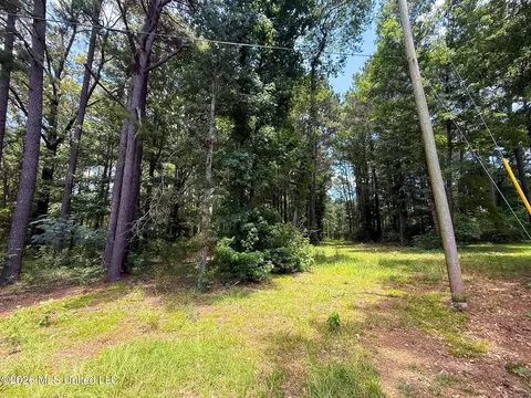 Berthadale Road, Mccomb, MS 39648 photo 4