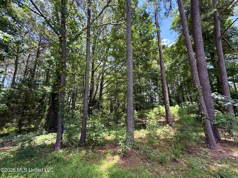 Berthadale Road, Mccomb, MS 39648 photo 3