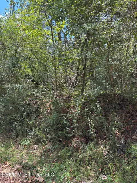 Ms-556, Meadville, MS 39653