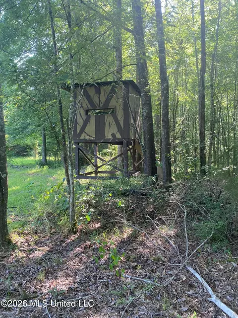 Co Rd 4005, Goodman, MS 39079 photo 7