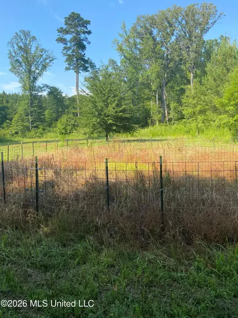 Co Rd 4005, Goodman, MS 39079 photo 15