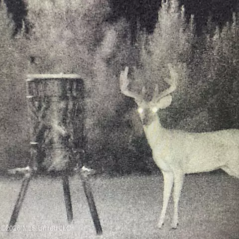 Co Rd 4005, Goodman, MS 39079 photo 21
