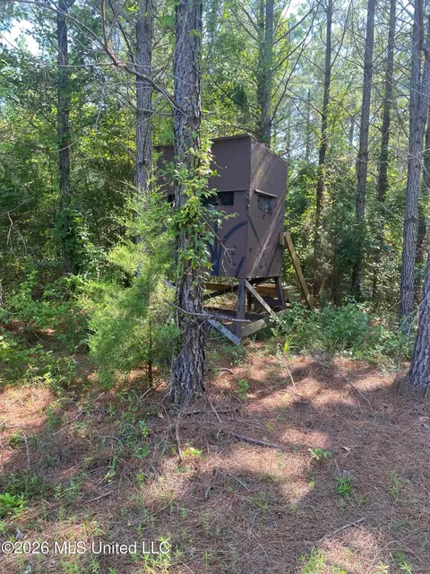 Co Rd 4005, Goodman, MS 39079 photo 10