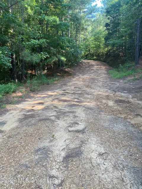 Co Rd 4005, Goodman, MS 39079 photo 18