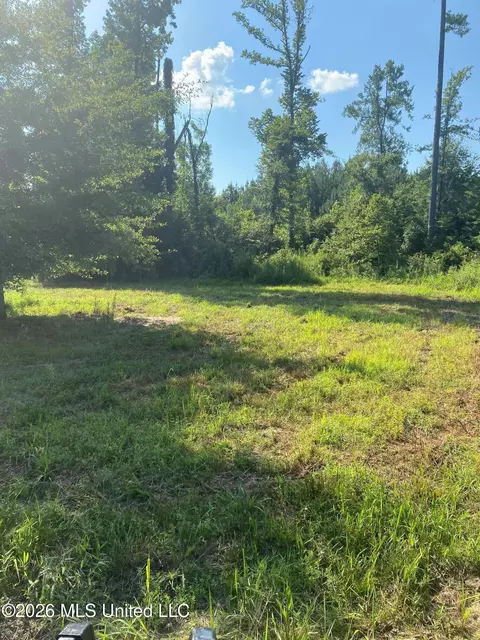 Co Rd 4005, Goodman, MS 39079 photo 14