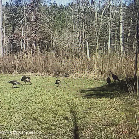 Co Rd 4005, Goodman, MS 39079 photo 23