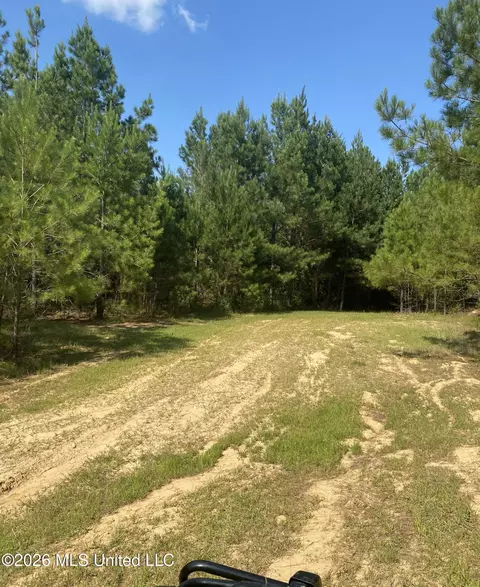 Co Rd 4005, Goodman, MS 39079 photo 9