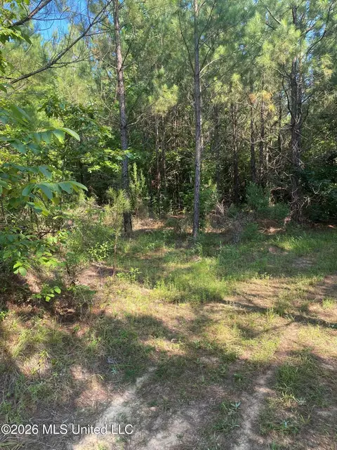 Co Rd 4005, Goodman, MS 39079 photo 13