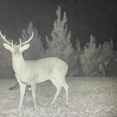 Co Rd 4005, Goodman, MS 39079 photo 27