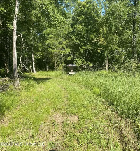Co Rd 4005, Goodman, MS 39079 photo 12