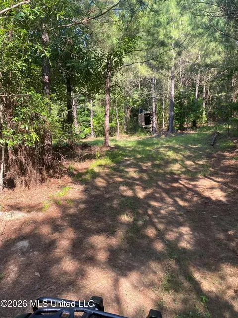 Co Rd 4005, Goodman, MS 39079 photo 16